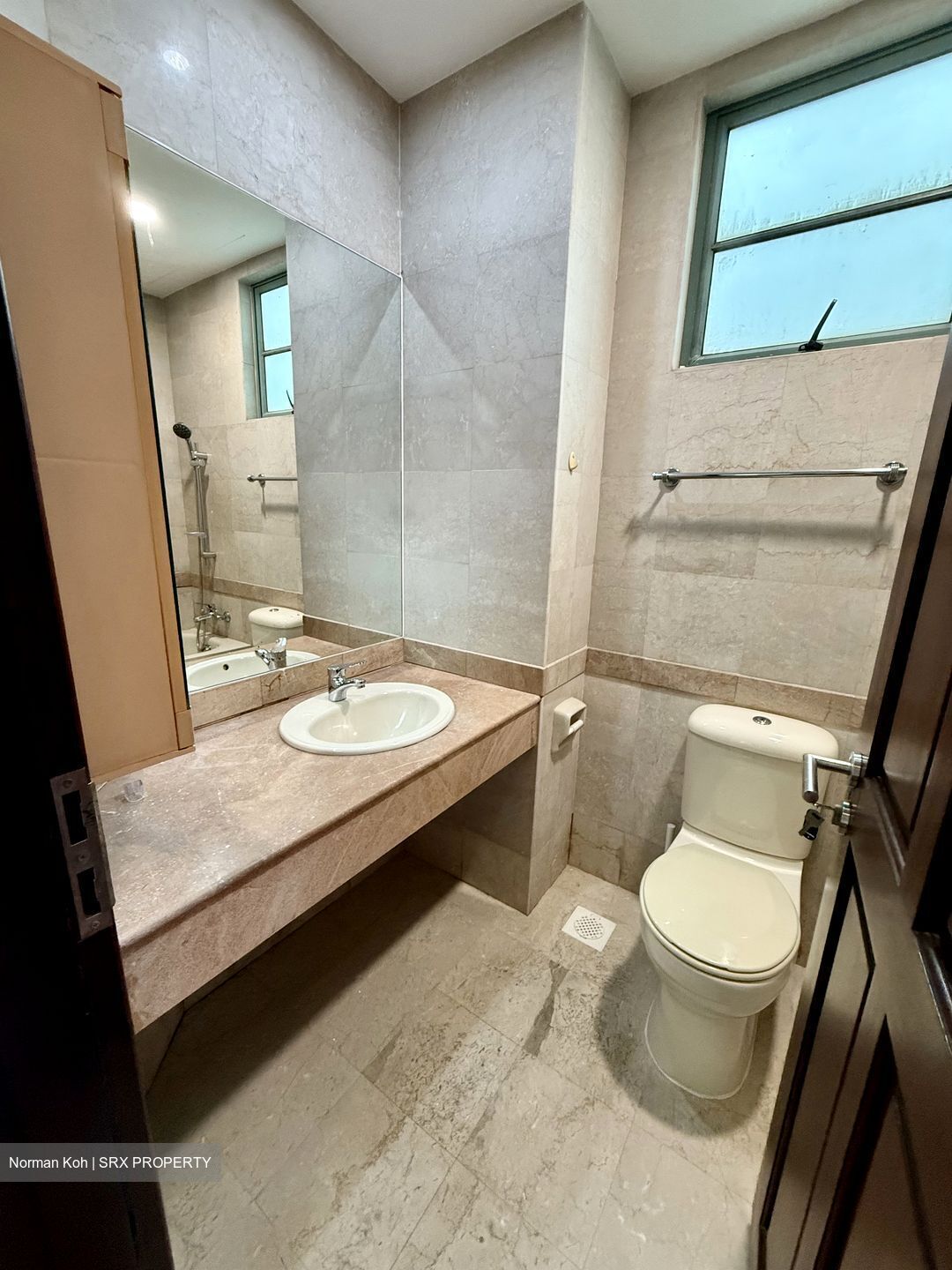 Tanglin Regency (D10), Condominium #608971871